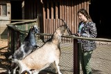 W związku z koronawirusem zoo w Myślęcinku zamknięte  