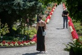 Wakacyjny Bookcrossing w Ogrodzie Botanicznym w Łodzi: "Przeczytaj i podaj dalej"