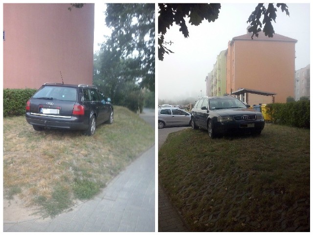 Autodrań zaparkował na trawniku przy ul. Krętej.