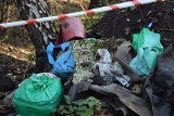 Góry śmieci w lesie! W okolicy Słonego mieszkańcy latami nielegalnie pozbywali się odpadów z swoich domostw