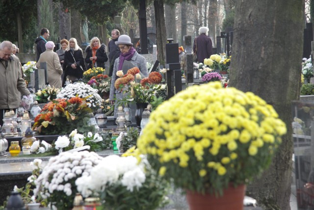 Nekropolia przy ul. Lipowej to zespół cmentarzy: katolicki, prawosławny, ewangelicki, komunalny.