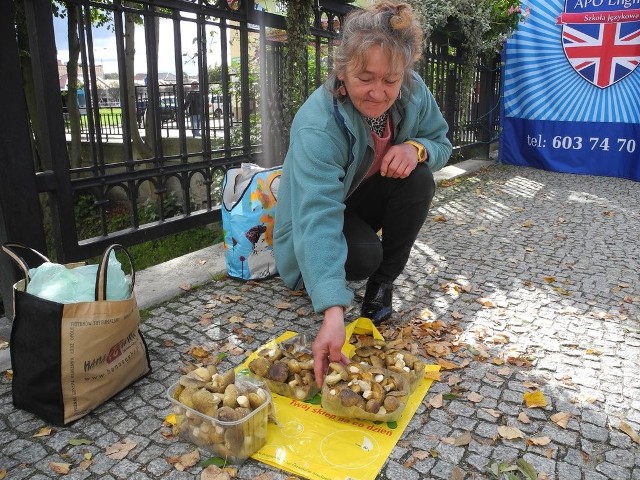 Grzybów jest dużo, ceny przystępne.