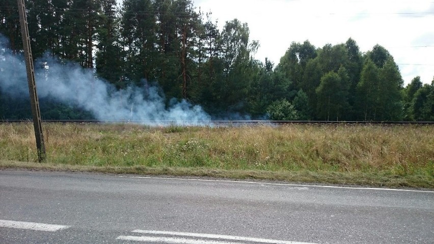 Pożar traw w Moczyłkach koło Białogardu