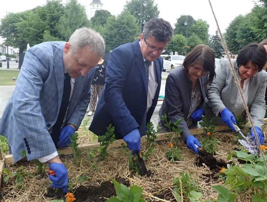 Skrzynie z warzywami i ziołami stanęły w ramach projektu „Rodzinne ogrody”