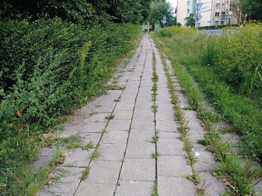 Zły stan chodników w Lublinie? Czytelnik: "Totalny bałagan z wieloletnimi zaniedbaniami"