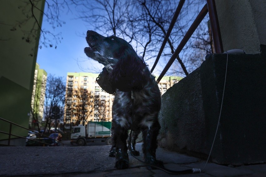 "Przeważająca część mieszkańców jest zdyscyplinowana i...