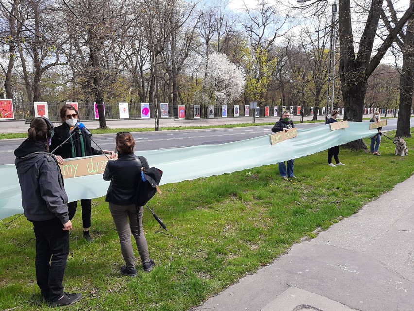 Przebudowa z protestem. Ekolodzy mówią „nie” usuwaniu drzew rosnących przy Racławickich, Poniatowskiego, Lipowej