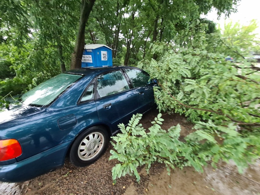 Burze przechodzą na Kujawsko-Pomorskiem. W Toruniu powalone...