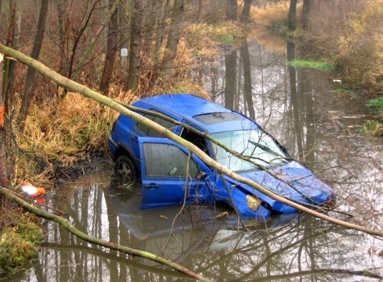 Wczoraj przed południem w miejscowości Dąbrowa Dzięciel na...