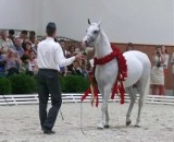 Konie z Michałowa z wielkimi sukcesami w Weronie 