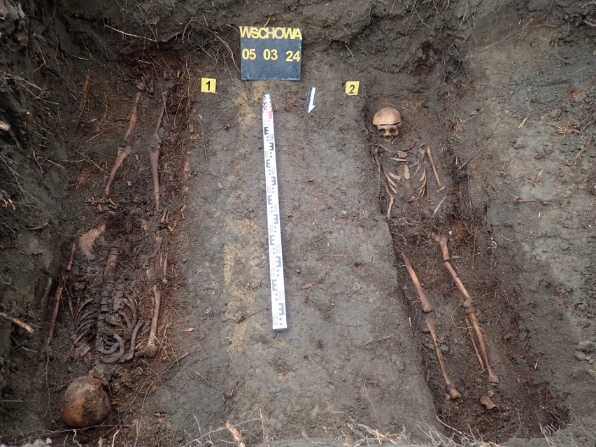 Szkielety czterech żołnierzy niemieckich odnaleziono w...