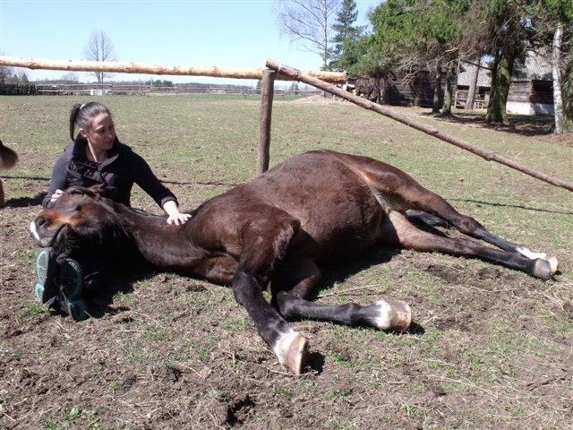 Monika i jej koń: ufny, nie przestraszony, chętny - to efekt pracy metodami naturalnymi. Nic tu nie robi się na siłę.