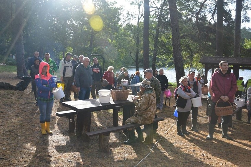 W Korzybiu rywalizowano w zbieraniu grzybów i grzybowej potrawie (zdjęcia)