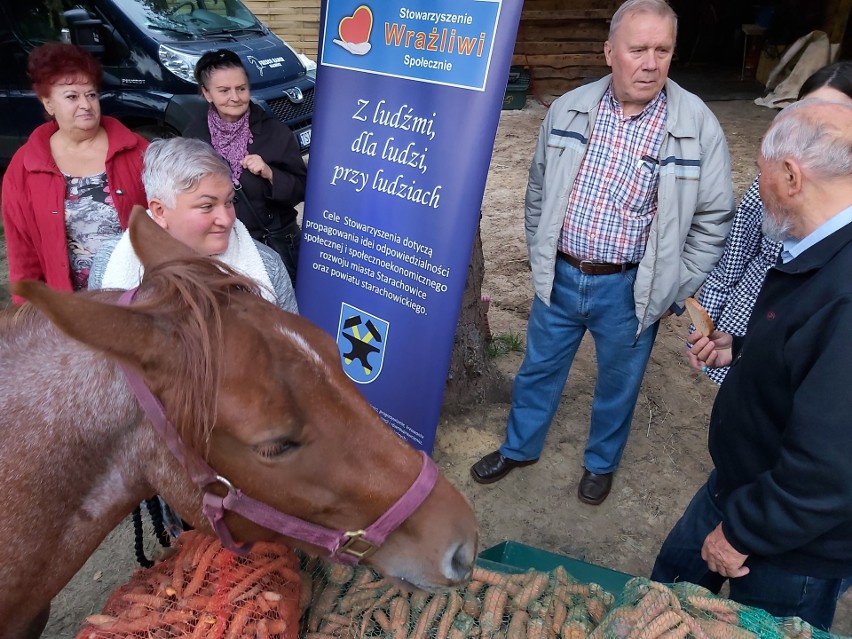 Starachowickie stowarzyszenie protestuje przeciw używaniu koni do transportu i ich zabijaniu. Pomogli też ośrodkowi w Wąchocku [ZDJĘCIA] 
