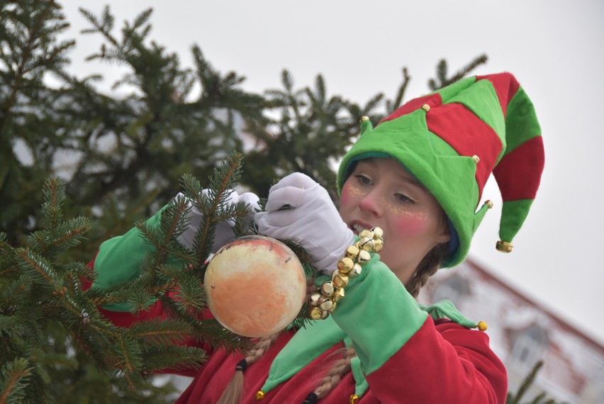 Dzieciom w przyozdabianiu miejskiej choinki pomagały elfy.
