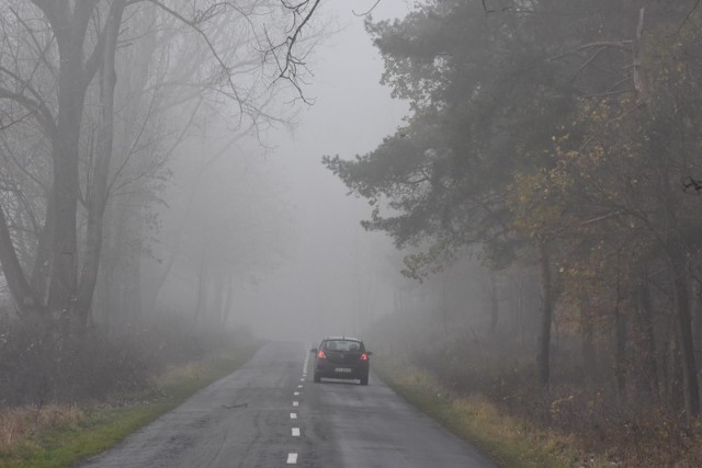 W okresie jesienno-zimowym, gdy na drogach jazdę często utrudniają mgły, wielu kierowców od razu decyduje się użyć przednie i tylne światła przeciwmgłowe. Takie zachowanie może jednak skończyć się wysokim mandatem. Dlaczego? Wyjaśniamy na kolejnych slajdach. By przejść dalej przesuń zdjęcie gestem lub naciśnij strzałkę w prawo.
