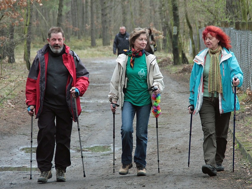 Pierwszy wiosenny rajd grudziądzkiego klubu nordic walking "Patyczaki" [zdjęcia]