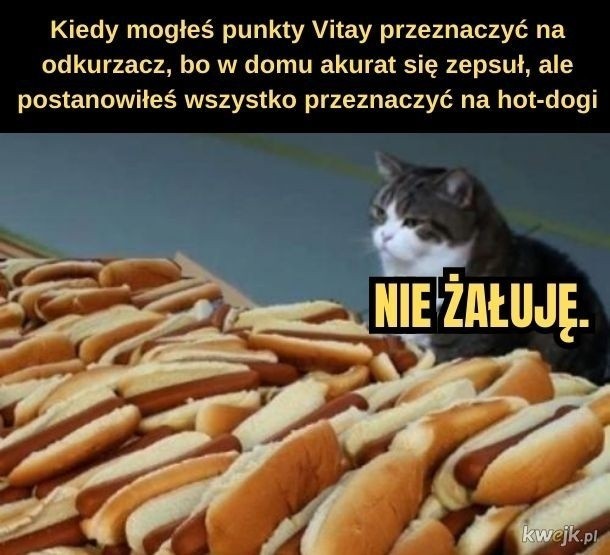 Pierwsze polskie hot dogi, a właściwie imitacje tej szybkiej...
