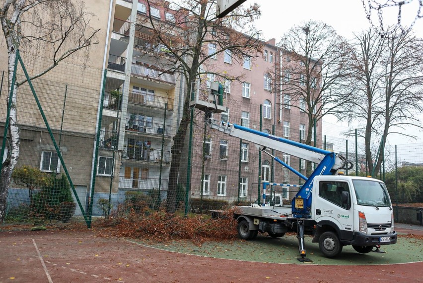 Wielkie cięcie drzew, które martwi mieszkańców centrum Szczecina