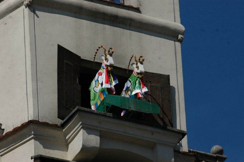 Poznańskie koziołki mają sto lat