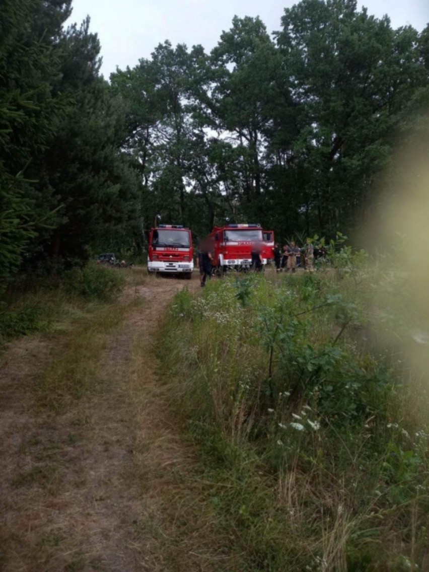 W akcji uczestniczyli  strażacy( z OSP Ksrg Jadowniki Mokre,...