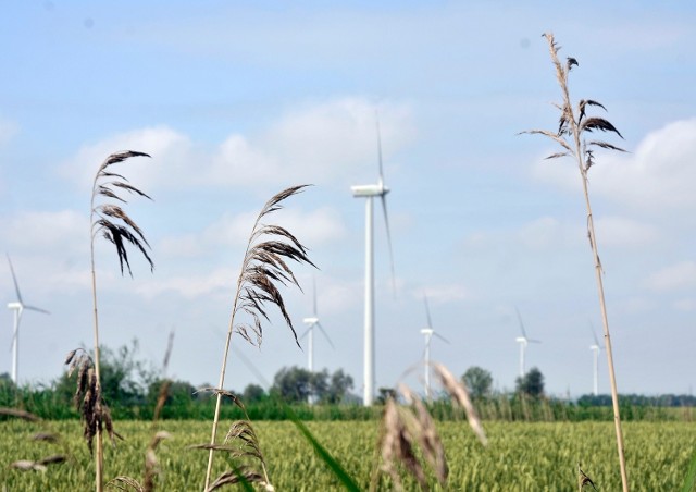 05.07.2012 bystra kolo gdanska ferma wiatrowa w bystrej kolo gdanska o lacznej mocy 24mw fot. przemek swiderski / polskapresse dziennik baltycki