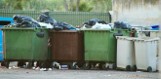 Mieszkańcy gminy Sępólno zapłacą więcej za śmieci. Stawka na 2022 rok to 31 zł od osoby
