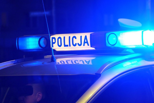 Wypadek na DK65. Samochód osobowy zderzył się z łosiem w okolicach miejscowości Ciemnoszyje. Jedna osoba została ranna