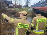 Ostrzeżenia hydrologiczne IMGW dla Śląska. Straż Pożarna czuwa w całym województwie 