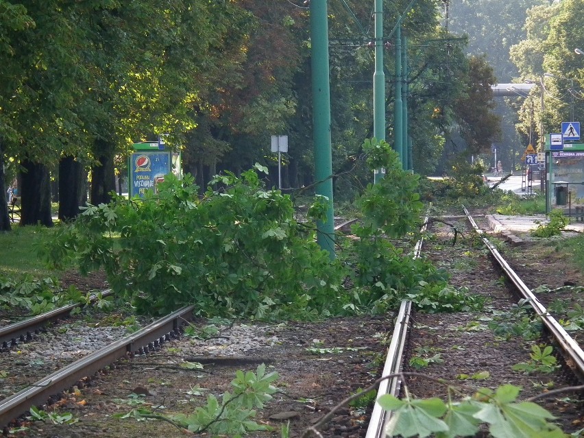 W czasie gwałtownych burz, jakie mogą przejść przez woj....