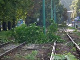 Burze z gradem i oberwanie chmury na Śląsku i w Beskidach. Wstępne ostrzeżenie!