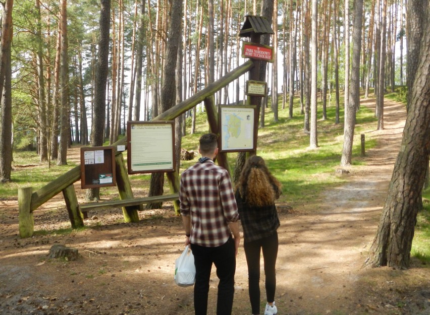 Park Narodowy „Bory Tucholskie” spogląda na Jezioro Charzykowskie