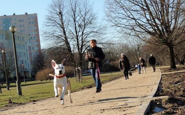 Odcinek ścieżki rowerowej od ulicy Rydygiera 42 do Rakowicza 8 ma być gotowy do końca maja