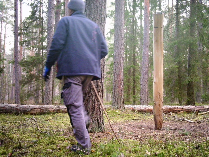 Mazurki. Podejrzany o kradzież fotopułapki z lasu zatrzymany (zdjęcia)