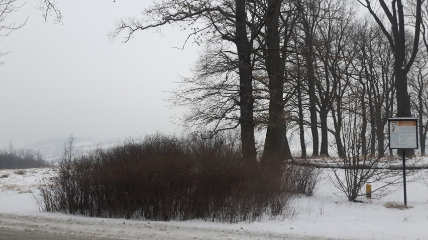 Puste miejsc po kapliczce z figurą św. Floriana w Kątach z...