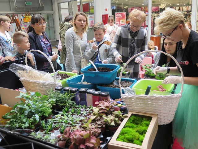 Bardzo hucznie obchodziła Galeria Ostrowiec swoje 14 urodziny.  Nie zabrakło atrakcji zarówno dla dorosłych, jak i dla dzieci. ZOBACZCIE NA KOLEJNYCH SLAJDACH>>>W programie znalazły się między innymi występy zespołu Pandora, Durak Show, - spektakl komediowy dla każdego pokazy barmańskie, i Drink Bar, pokazy kuchni molekularnej oraz degustacje i gigantyczny „żywy robot”. Były czekoladowe fontanny, a spragnieni mocniejszych wrażeń  mieli możliwość lotu balonem na uwięzi i podziwiania z góry panoramy Ostrowca. Nie zapomniano o atrakcyjnych konkursach z nagrodami. Jak na urodziny przystało był też tort – tym razem w formie muffinek.