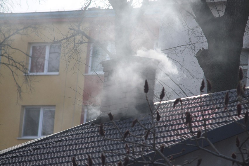 Smog jest obecny w wielu polskich miastach. Na Śląsku jest...