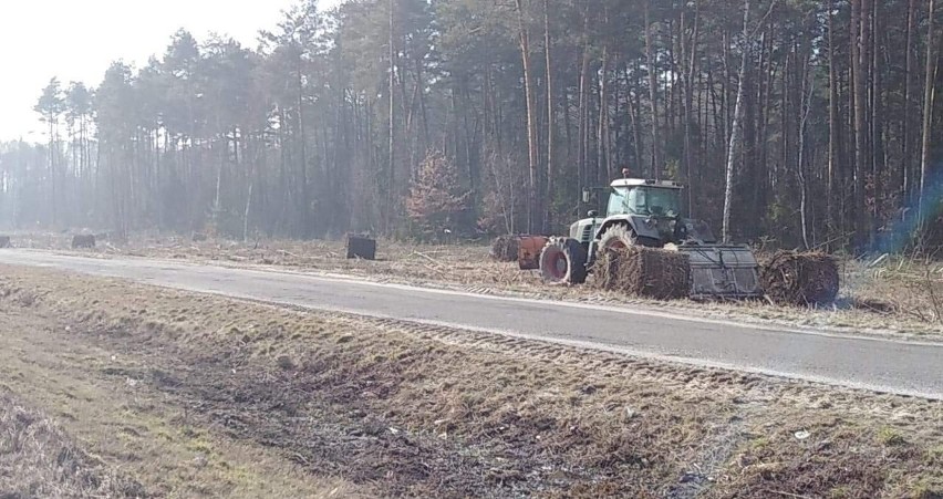 Trwa wycinka drzew i krzewów pod budowę ostatniego odcinka...