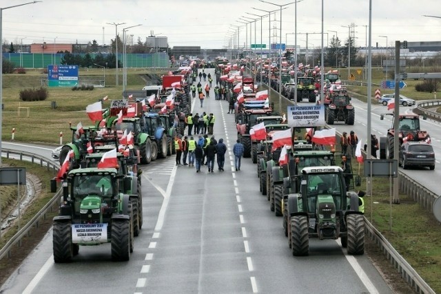 25 lutego kierowców w Lubuskiem czekają potężne utrudnienia. Tym razem rolnicy będą blokować przejście w Świecku, przez co uniemożliwią przejazd odcinkiem autostrady A2. W poprzednich dniach blokowali odcinki trasy S3 oraz niektóre miasta w tym m.in. Międzyrzecz, Gorzów czy Zieloną Górę.