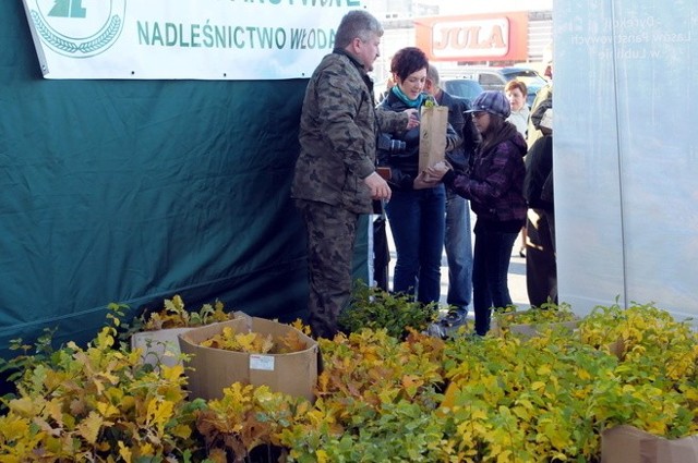 W ubiegłym roku mieszkańcy Lublina dostarczyli nam aż 16 ton makulatury. W zamian za to otrzymali tysiące sadzonek buków, dębów i wiązów.