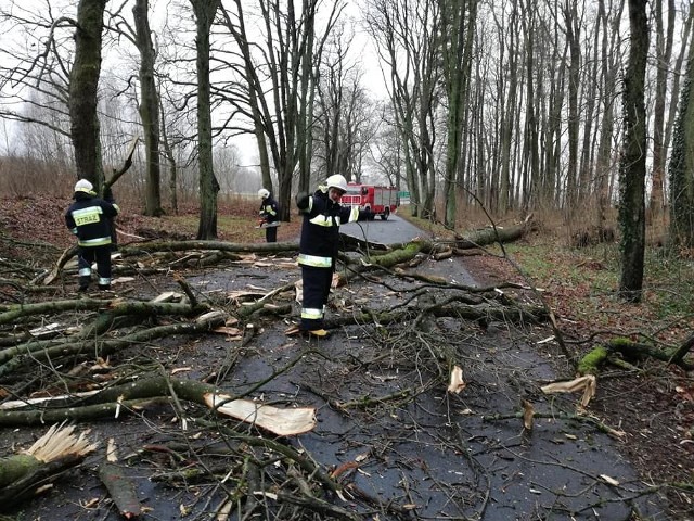 W Noskowie(gmina Sławno) w wyniku silnego wiatru na jezdnię spadło drzewo. - O godzinie 12:14 zostaliśmy zadysponowani do powalonego drzewa w Noskowie. Nasze działania polegały na zabezpieczeniu miejsca zdarzenia oraz usunięciu powalonego drzewa z drogi - informuje Ochotnicza Straż Pożarna we Wrześnicy. Na miejscu były dwa zastępy OSP we Wrześnicy. Droga została już uprzątnięta. Zobacz także: Nowy Rok w Koszalinie