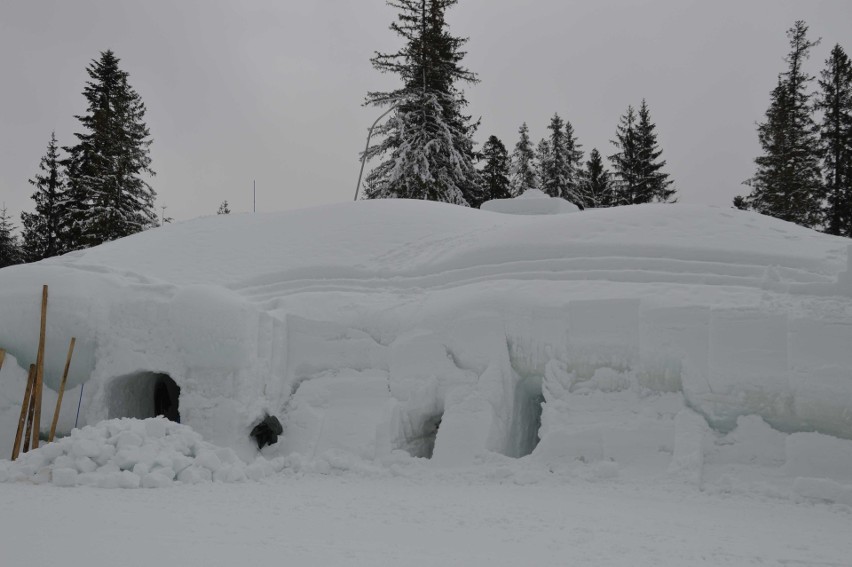 Zakopane. Pod Wielką Krokwią budują śnieżny zamek i labirynt [ZDJĘCIA]