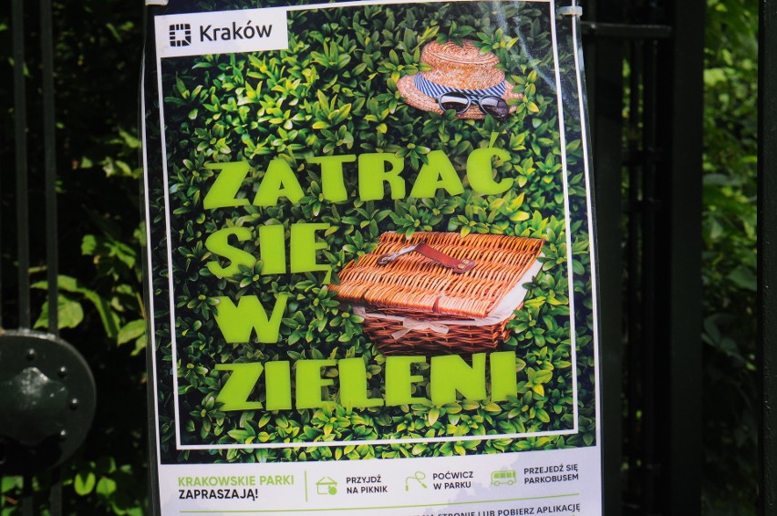 Kraków. Parkobus za darmo zawozi w zieleń [ZDJĘCIA]