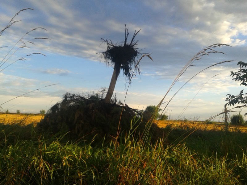 Potężna wichura przeszła około godziny 2.30 nad ranem nad...