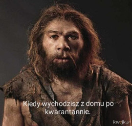 Memy o kwarantannie