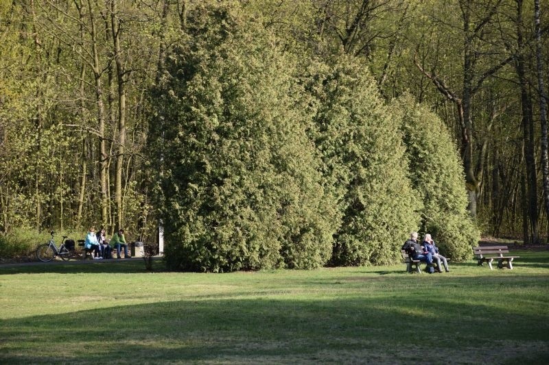 Park Wolności w Pabianicach lepiej oświetlony i z amfiteatrem ZDJĘCIA