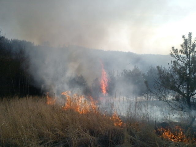 Pożar w Górach Pęchowskich