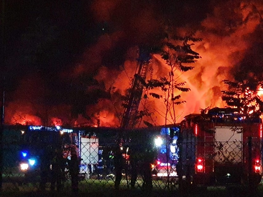 Trwa akcja gaśnicza niedaleko Szamotuł. Płonie hala...