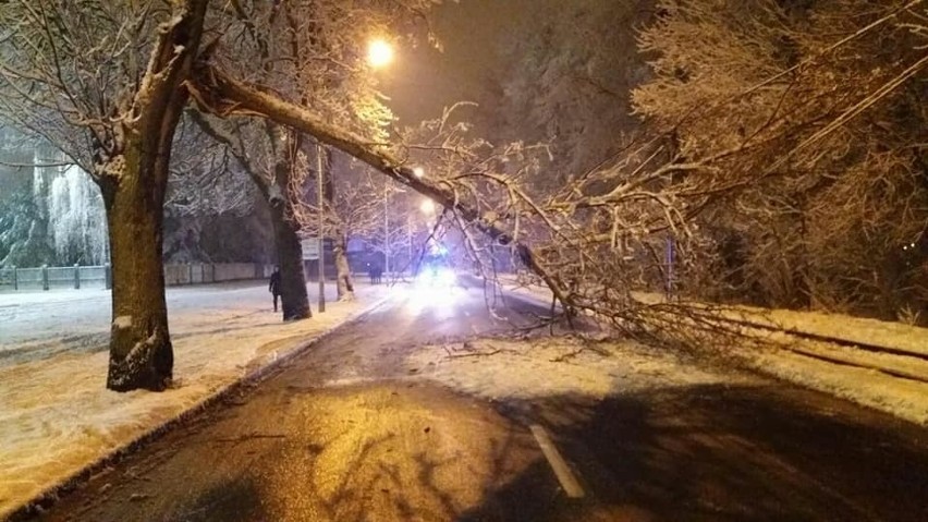 Strażacy przy interwencjach na ul. Gospodarczej i Korfantego...