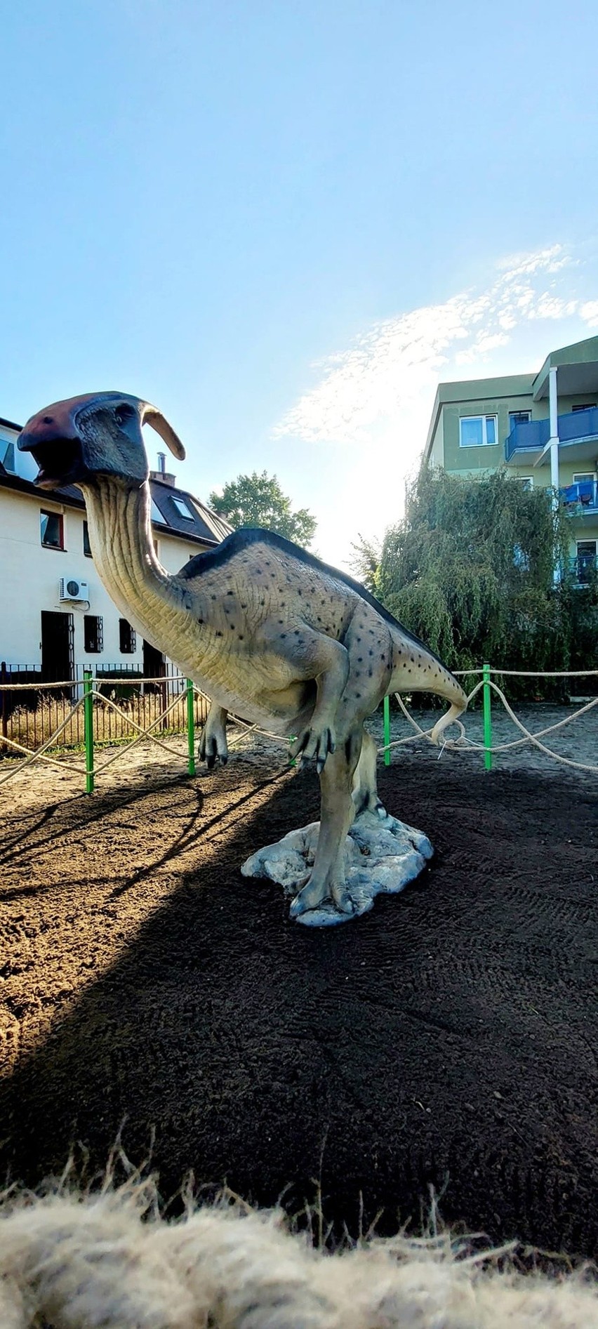 Dinozaurowy park zabaw przy SP nr 10 w Ostrołęce gotowy